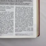 Bíblia De Estudo Joyce Meyer | NVI | Letra Grande | Capa Luxo Vermelha - Imagem 5