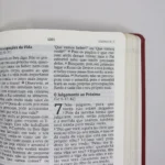 Bíblia De Estudo Joyce Meyer | NVI | Letra Grande | Capa Luxo Vermelha - Imagem 7