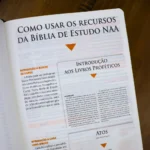 Bíblia de Estudo NAA Letra Normal Tamanho Portátil Capa Luxo Preta - Imagem 7
