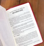 Bíblia A Mensagem Letra Gigante Capa Luxo Vermelha - Imagem 7