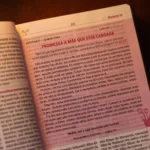 Bíblia Sagrada Mães da Aliança ARA - Imagem 6