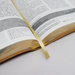 Bíblia De Estudo Joyce Meyer | NVI | Letra Grande | Capa Luxo Mostarda - Imagem 4
