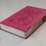Bíblia das Descobertas para Adolescentes Letra Normal NTLH Capa Luxo Rosa - Imagem 5