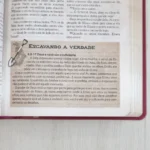 Bíblia das Descobertas para Adolescentes Letra Normal NTLH Capa Luxo Rosa - Imagem 8