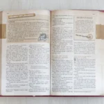 Bíblia das Descobertas para Adolescentes Letra Normal NTLH Capa Luxo Rosa - Imagem 10