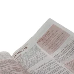 Bíblia Do Pregador Capa Cinza Versão ARC - Imagem 6