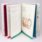 Maravilhoso - Descobrindo Jesus nos Salmos/ Marty Machowski - Imagem 2