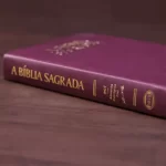 Bíblia Sagrada ACF Letra Gigante Capa Luxo Vinho - Imagem 2