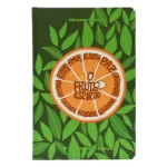 Bíblia Sagrada Fruto do Espírito