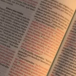 Bíblia Sagrada | NVT | Letra Gigante | Marrom - Imagem 3