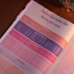 Bíblia de Estudo Para o Cotidiano da Mulher NVA Full Collor Capa Dura Preta - Imagem 6