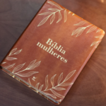 Bíblia Mulheres Viviane Martinello NAA Espaço Para Anotações Duas Colunas Folhas Caramelo - Imagem 11